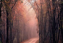 安卓按钮背景一直紫色的解决办法