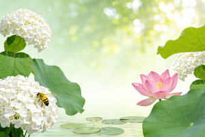 Kotlin中Response与CALL的区别