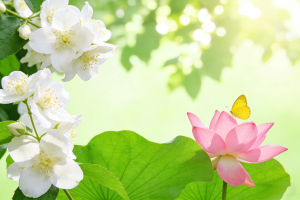 Kotlin完整倒计时界面